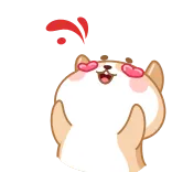 😍 강아지, 하트, 사랑, 신남, 귀여운 telegram sticker