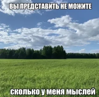 Больше стиков тут: @stikery4 telegram stickers