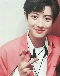 😀 homme, K-pop, chanteur, personne, portrait telegram sticker