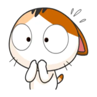 😦 gato, surpreso, desenho animado, adesivo, fofo, chocado telegram sticker