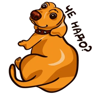 🙂 ЧЕ НАДО? chó, hoạt hình, động vật, ngồi, dễ thương whatsapp sticker