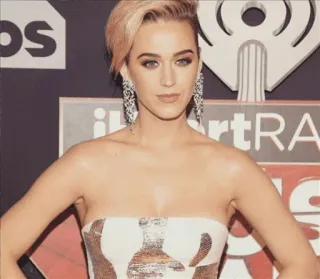 🌻 Katy Perry selebriti, wanita, penyanyi, aktris, Katy Perry, iHeartRadio telegram sticker