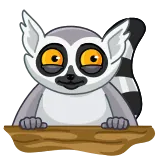 😍 lemur, animal, primate, cute, striped tail, wildlife telegram sticker