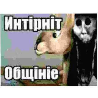 Больше стиков тут: @stikery4 telegram stickers