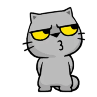 😶 cat, cartoon, sticker, animal, grey telegram sticker