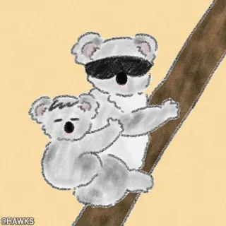 🖤 @HAWKS koala, animale, carino, disegno whatsapp sticker