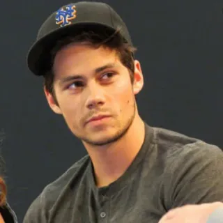 📎 Dylan O'Brien aktor, pria, potret, selebriti telegram sticker