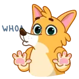 😨
