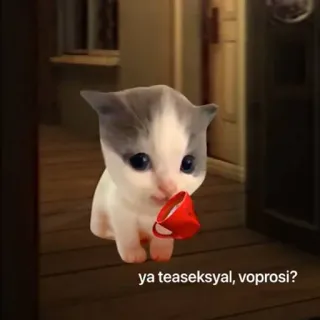 ☕️ ya teaseksyal, voprosi? 猫, 小猫, 可爱, 俄罗斯, 问题, 茶, 表情包 telegram sticker