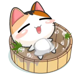 🙂 猫, お風呂, 可愛い, 動物, カワイイ telegram sticker
