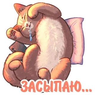 🥱 ЗАСЫПАЮ. Katze, Schlaf, müde, süß, Haustier, Tier, Kissen telegram sticker