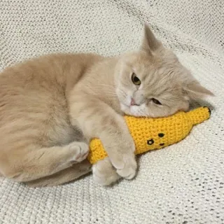 🥺 kucing, anak kucing, pisang, rajut, hewan peliharaan, lucu, binatang telegram sticker