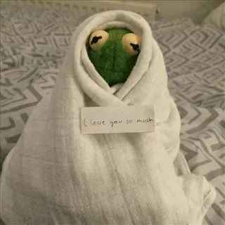 😧 Kermit I love you so much Kermit la rana, Amore, Carino, Coperta, Meme, Pupazzo whatsapp sticker