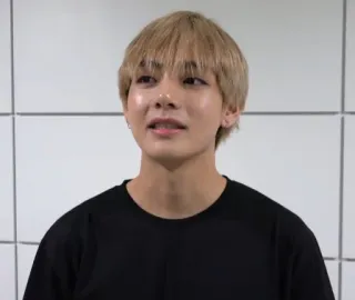 🐺 V kpop, bts, v, idol, cantante, coreano telegram sticker