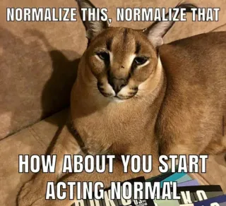 🐱 NORMALIZE THIS, NORMALIZE THAT HOW ABOUT YOU START ACTING NORMAL Meme, Katze, Floppa, Humor, Tier telegram sticker
