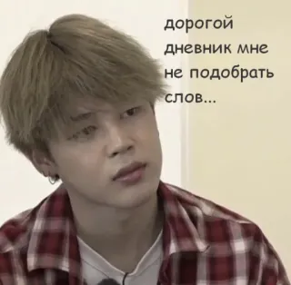 😰 дорогой дневник мне не подобрать слов... kpop, jimin, meme, diary, sad telegram sticker