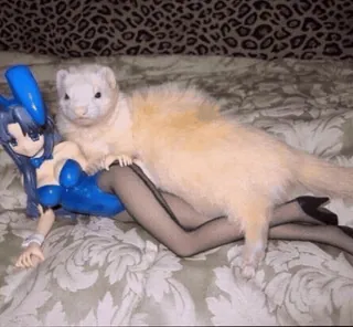 😍 KOS-MOS Xenosaga ferret, anime figure, pet, animal, cosplay prop, cute, figure, Xenosaga telegram sticker
