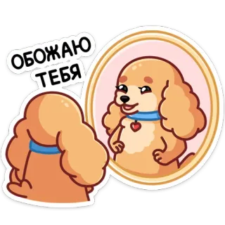 ☺️ ОБОЖАЮ ТЕБЯ Hund, Spiegelung, Liebe, süß, Herz, Halsband, Spiegel telegram sticker