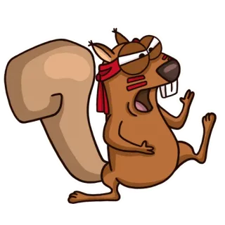 👊 Eichhörnchen, Cartoon, Tier, Wütend, Lustig, Rotes Stirnband, Nagetier telegram sticker