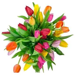💐 Blumen, Tulpen, Blumenstrauß, Gesteck, Frühling, Natur telegram sticker