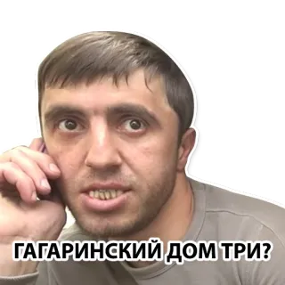 🤔 ГАГАРИНСКИЙ ДОМ ТРИ? русский, мужчина, звонок, вопрос, стикер whatsapp sticker