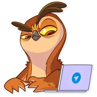 🤔 burung hantu, komputer, laptop, burung, stiker telegram sticker