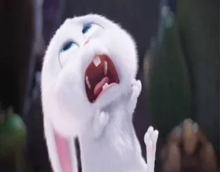 😞 Snowball The Secret Life of Pets lapin, lapinou, animal, animal de compagnie, dessin animé, animé, méchant, criant telegram sticker