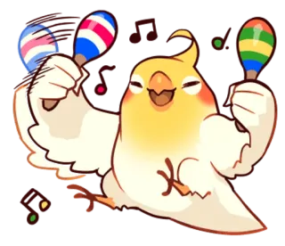 ☺️ oiseau, cockatiel, arc-en-ciel, maracas, musique, mignon whatsapp sticker