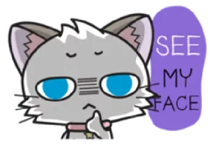 😐 SEE MY FACE gato, adesivo, engraçado, fofo, animal, desenho animado whatsapp sticker