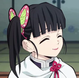🌸 Kanao Tsuyuri Demon Slayer anime, demon slayer, kanao tsuyuri, girl, smile, happy telegram sticker