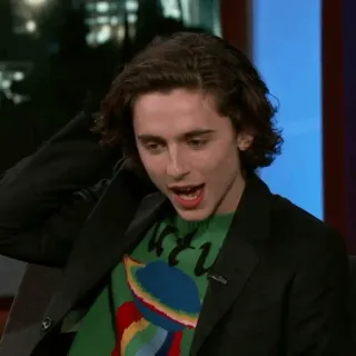 🥀 Timothée Chalamet diễn viên, người nổi tiếng, đàn ông, chân dung telegram sticker