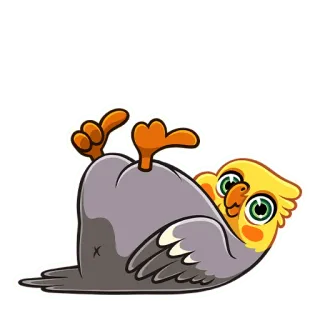 ☺️ pássaro, calopsita, animal, fofo, animal de estimação telegram sticker