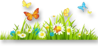 🎀 vlinder, bloemen, gras, lente, natuur telegram sticker