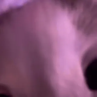 😨