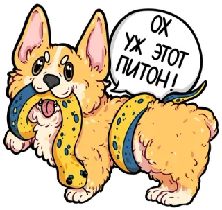 codedog cnsrd (@kotypic) telegram stickers