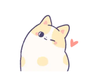 😉 猫, 可爱, 爱心, 眨眼, 动物, 宠物 whatsapp sticker