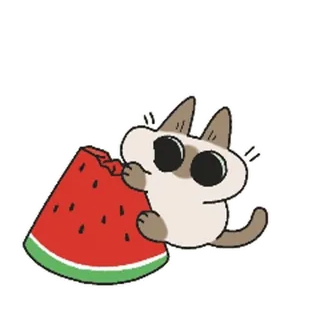 🍉 chat, pastèque, mignon, dessin animé, kawaii, autocollant whatsapp sticker