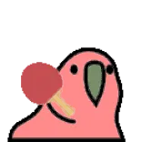🦜 parrot, table tennis, ping pong, sports, bird, animal telegram sticker
