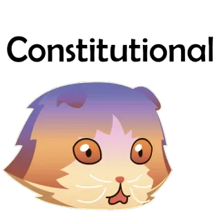 🐱 gato, animal, adesivo, fofo, animal de estimação telegram sticker