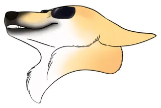 😎 anjing, hewan, kacamata hitam, kartun, peliharaan, keren telegram sticker