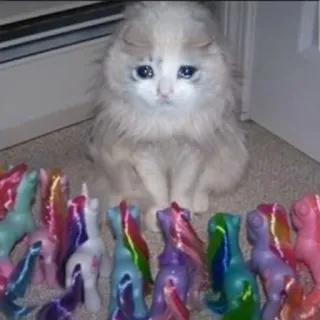 😭 kucing, sedih, kuda poni, mainan, binatang, hewan peliharaan telegram sticker
