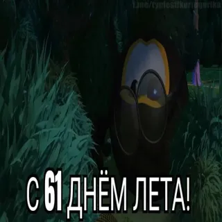 😱 С 61 ДНЁМ ЛЕТА! whatsapp sticker