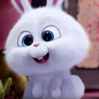 🐾 Snowball The Secret Life of Pets coniglio, carino, animale, coniglio, animale domestico whatsapp sticker