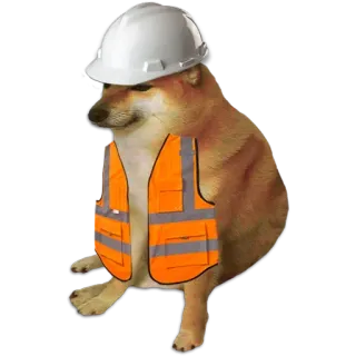 🐶 หมา, ก่อสร้าง, มีม, หมวกนิรภัย, เสื้อกั๊กสะท้อนแสง, Cheems, Doge whatsapp sticker
