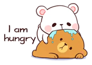🤤 I am hungry ursos, faminto, fofo, desenho animado, comida, animais telegram sticker