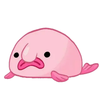 👛 pesce blob, pesce, carino, creatura marina, rosa, animale whatsapp sticker