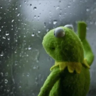🙁 Kermit kermit la rana, rana, muppets, triste, piovoso, finestra, meme, depresso telegram sticker