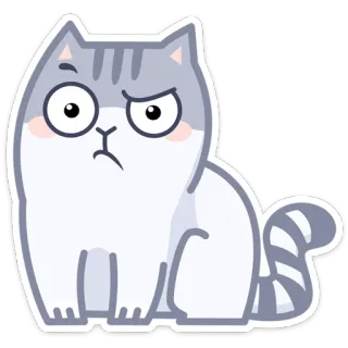 🤨 gato, adesivo, animal, fofo, desenho animado, felino whatsapp sticker