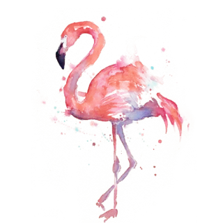 ▪ นกฟลามิงโก, นก, เขตร้อน, สีชมพู, สีน้ำ, สัตว์ telegram sticker