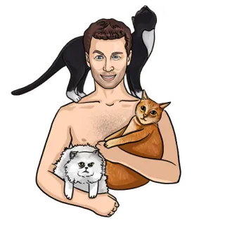 😸 pria, kucing, hewan peliharaan, binatang, potret, kartun telegram sticker